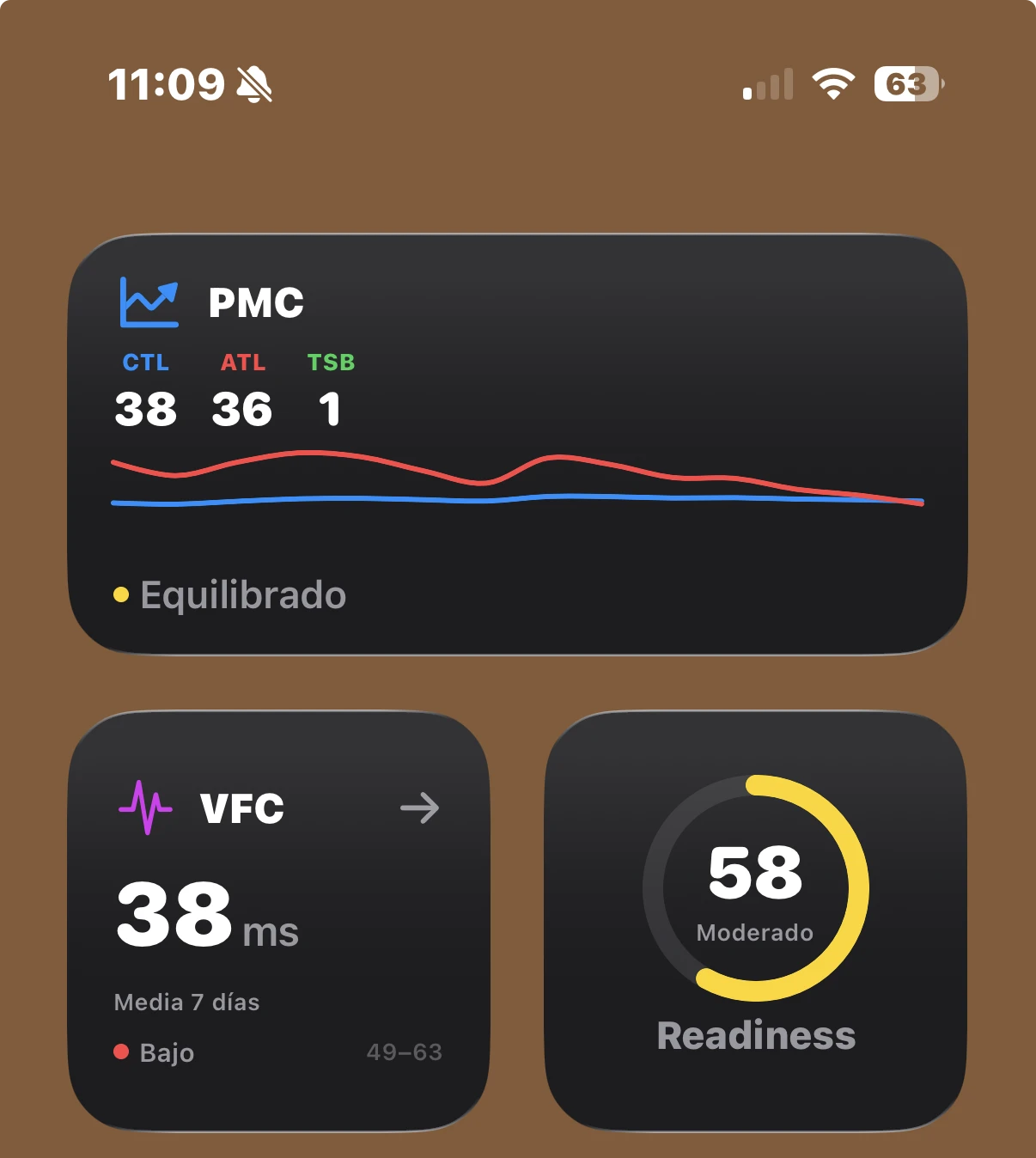 TrainingSelf iOS Widgets